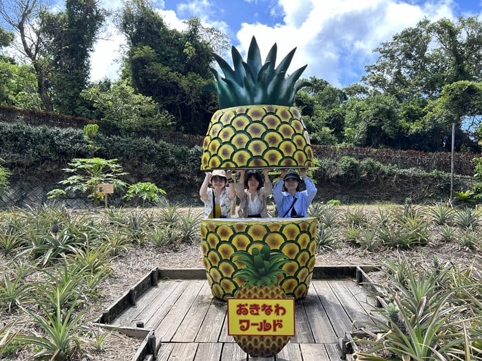 沖縄旅行